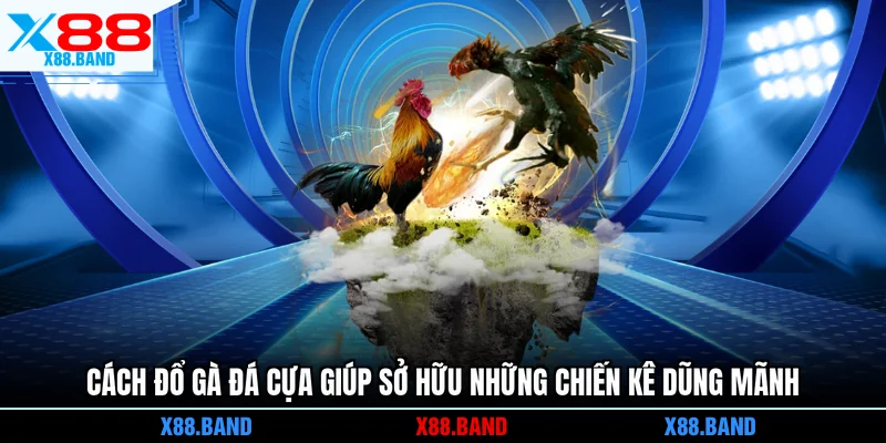 cách đổ gà đá cựa